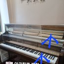음정피아노교습소 | 과명시 철산동 피아노교습학원 조율