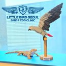 리틀버드서울 버드앤주클리닉 이미지
