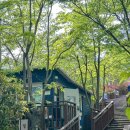 구서동 도시숲 이미지