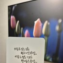 자담면가 이미지