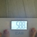 포레스트 다이어트 | 스위치온 다이어트 13일차 후기 / 식단 / 외식 / 정체기 (포레스트오늘숲 왕갈비쌀국수, 짜조, 달밤...