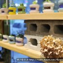 카페플로리스트