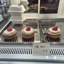 커피하우스 | [내돈내산] 군산 신상카페 "체로키 커피하우스" 가본 후기.