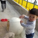 이춘기농장 이미지