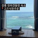 [강릉]주문진 애견동반 오션뷰 숙소 ‘고즈넉한 주문펜션’ 302호 내돈내산 후기