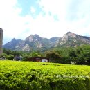 국화펜션 이미지