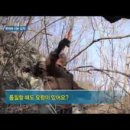 코리아헌터 이미지