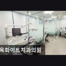 화이트치과의원 네이버블로그