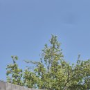 화창운수 이미지