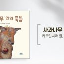 그림책으로 시작하다 이미지