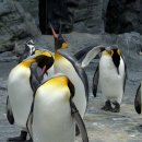 마성영업소 | 아직도 삿포로만 가세요? 2026 떡상 여행지 1위! 아사히카와 직항 3박 4일 자유여행 코스 총정리