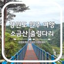 뉴남원주카 | 원주 여행 소금산 출렁다리 그랜드밸리 케이블카