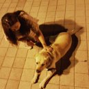승민치킨
