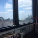 카페닐스 이미지