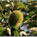 가향펜션 이미지