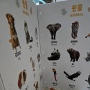 아띠래빗 까꿍놀이 아기 병풍+토끼거울세트 내돈내산 후기