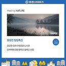 묵동초교(중랑중앞) 네이버블로그