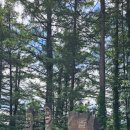 몰운대농장 이미지