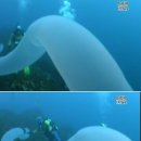 이로운바다 이미지