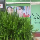 친친아로마