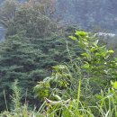 정종농장 이미지