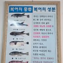 은마복국 이미지