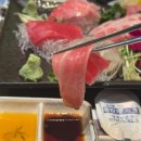 영참치
