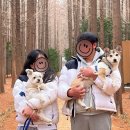 GM대우바로정비(영덕점) | 국내여행 영덕 메타세콰이어숲 지금 가기 좋은 이유 (애견동반 직접 다녀옴)