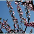 까치울역 2번 출구 이미지