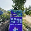 상기농장 이미지