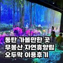 세은전자 | 동탄 아이랑 가볼만한곳, 무봉산 자연휴양림 오두막 사용후기 및 예약방법