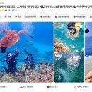 오키나와 케라마제도 투어 스노쿨링 찐 후기