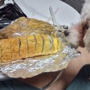 정송숙12년전통오렌지김밥