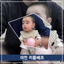 리틀베프 이미지