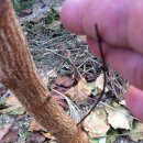 자작농장 이미지