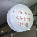 윤채브로우