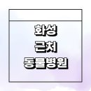 신왕리 | 화성시 근처 동물병원 추천 잘하는곳 정보 24시 야간 치료 후기 중성화 강아지 고양이 수술 가격 비용