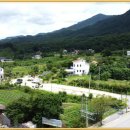 컴투펫 위탁보호센터 이미지