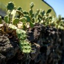 월령리 농어촌체험휴양마을 이미지