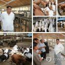 평남목장 이미지