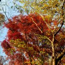 누리한우 숯불갈비 이미지