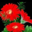 강북21세기병원 이미지