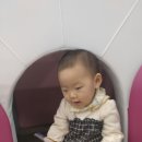 쁘띠봉 | 쁘띠봉드 당진점