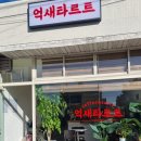 억새타르트