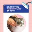 힐링동물병원 이미지