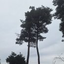 근검 절약 단상 이미지