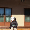 파아란지붕 이미지