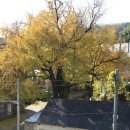 문창제 놀이 이미지