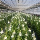 억대농장 이미지