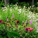 시민정원 이미지